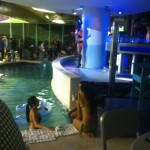 Pool at Clevelander Bar at Marlins Park