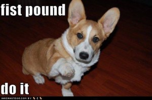 Dog-fist-pound