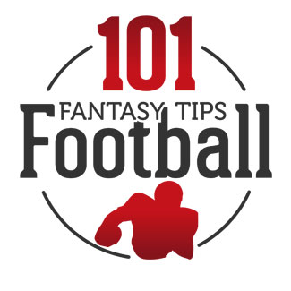 101 Fantasy Football Tips ebook